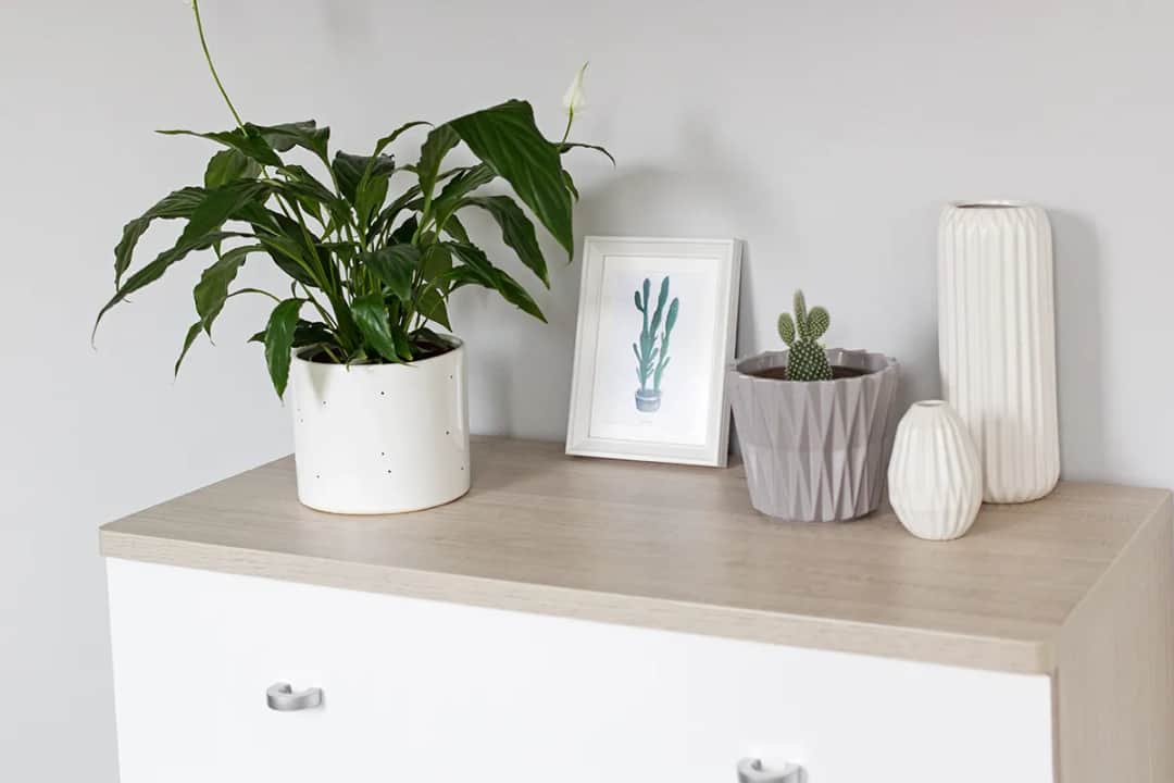 Jak odnowić meble z płyty wiórowej i przywrócić im blask bez wysiłku