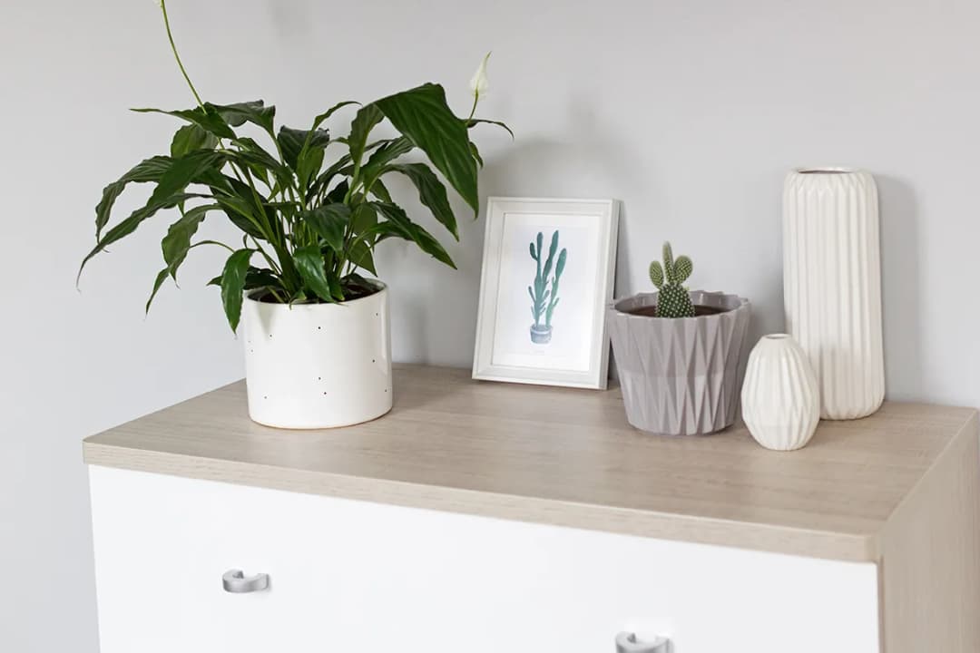 Jak odnowić meble z płyty wiórowej i przywrócić im blask bez wysiłku