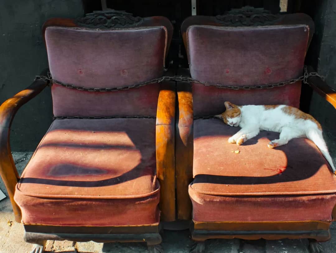 Gdzie wyrzucać meble? Poradnik utylizacji - PSZOK i alternatywy