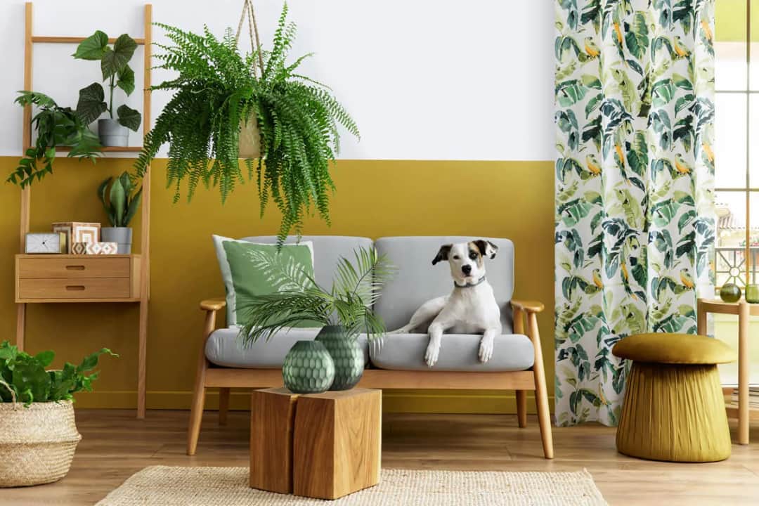 Jak dobrać zasłony do koloru ścian, aby stworzyć harmonijną przestrzeń